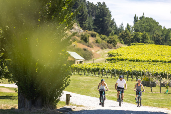 Biking Gibbston Wineries