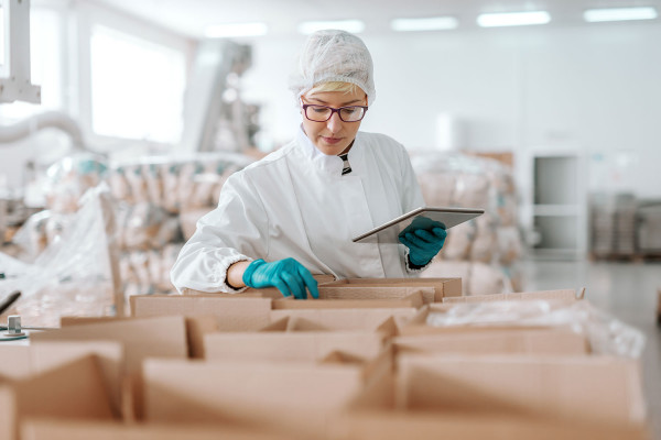 Woman In Uniform Counting Boxes