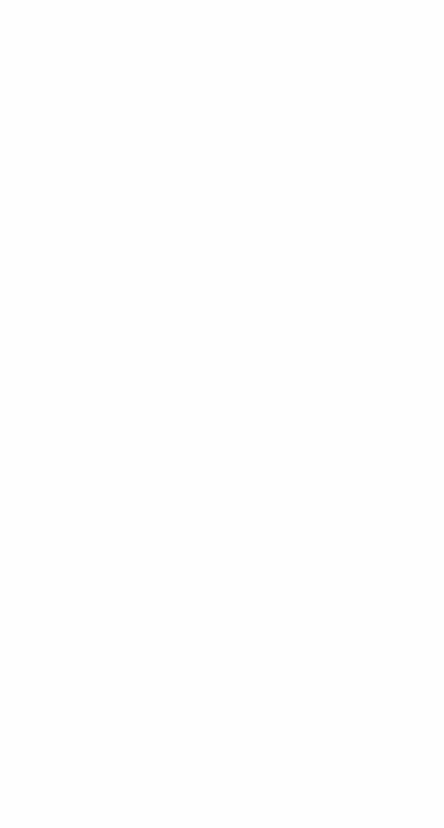 Young Enterprise Scheme Logo