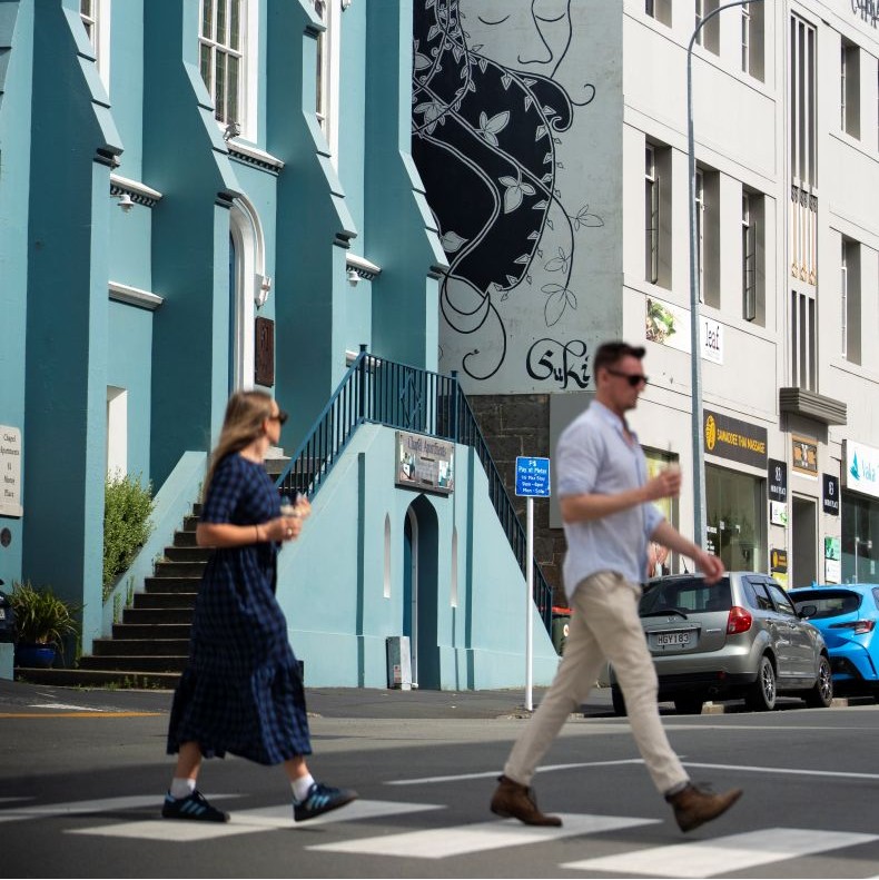 389550 streetart phlegm 036 dunedinnz