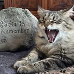 Rocks to Remember